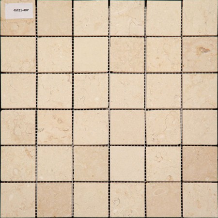  Natural 4M21-48P
