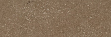  Kerlite   Buxy Noisette (1000x3000 )