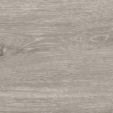    Forest Cembro (1000x3000 )