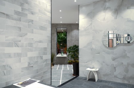 ������������ LeeDo Ceramica Alopex SAT 25x7,5 ���. 00-00002752