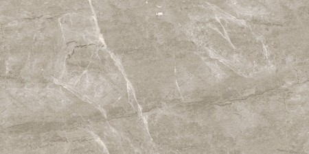  LeeDo Ceramica Breccia Silver Venato POL 120x60x0.55 . 00-00003333